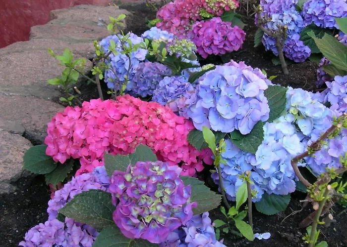 Nuraghe Aparthotel Porto Rotondo